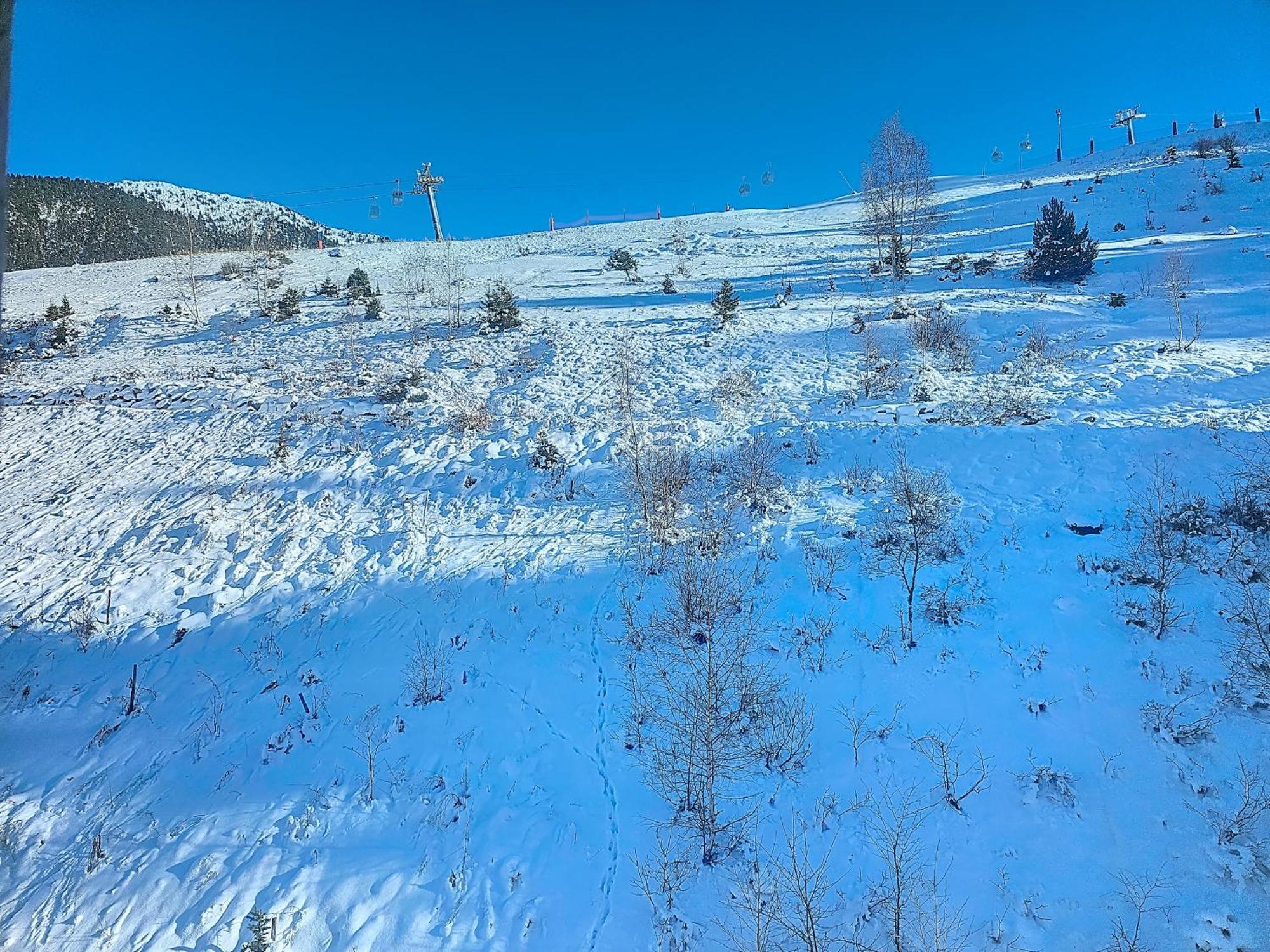 1650 -front De Neige Mountain View 7s09 Apartment *